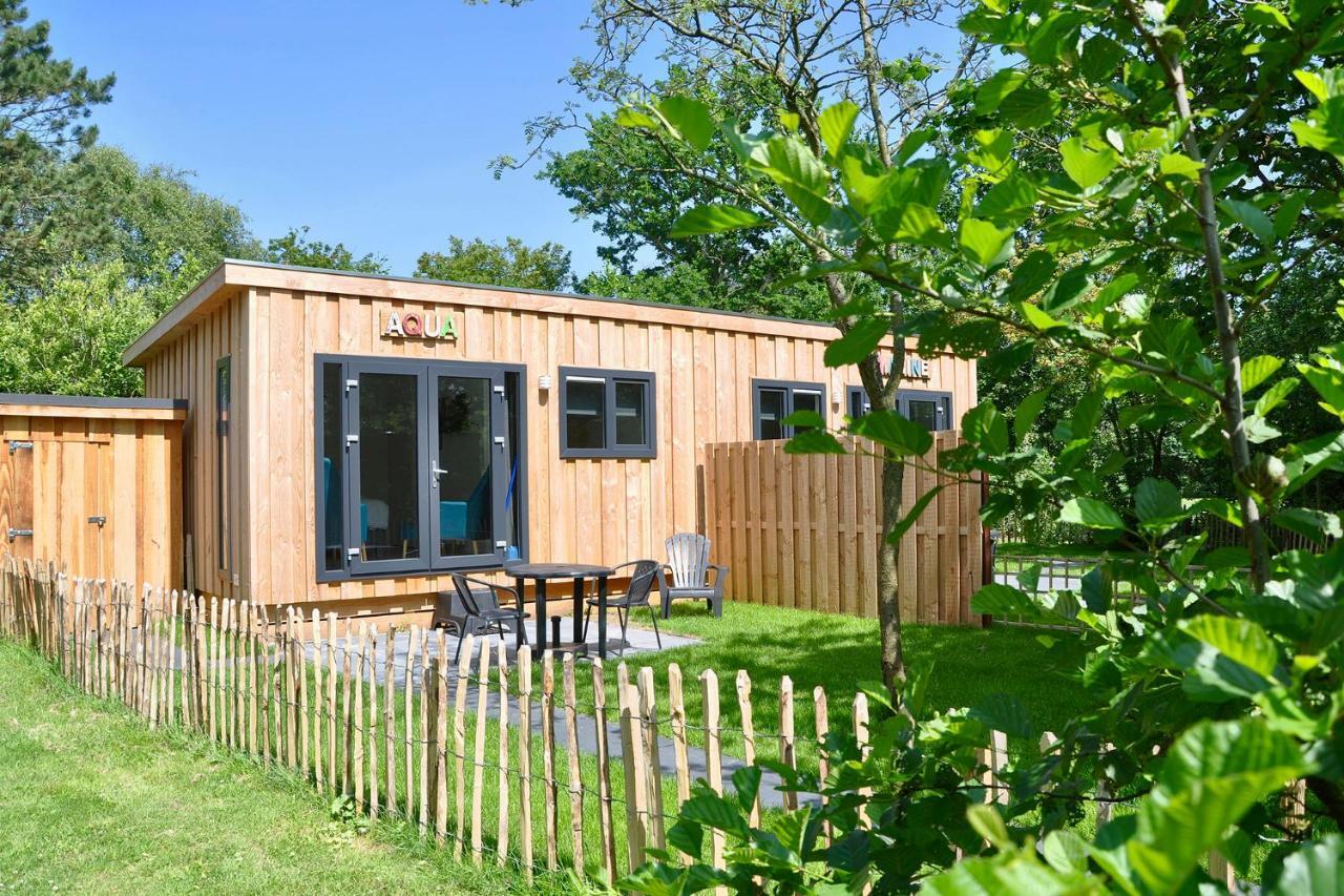 Chalet Studio Aqua - Campanula - Sint Maartenszee Villa Sint Maartensvlotbrug Eksteriør billede